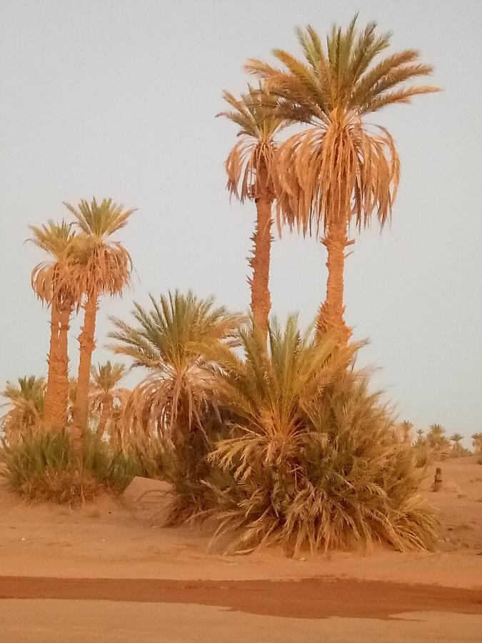 Готель Sahara Peace Camp Загора Екстер'єр фото