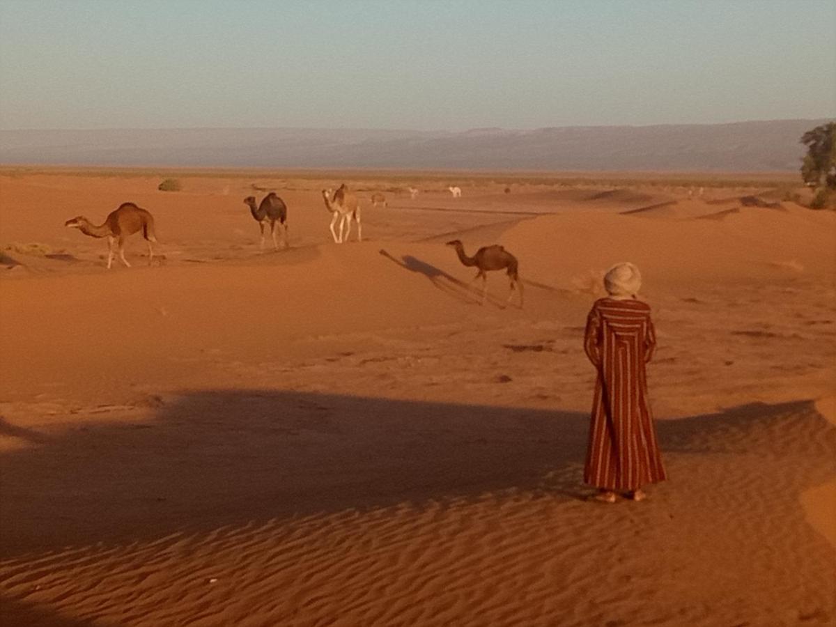 Готель Sahara Peace Camp Загора Екстер'єр фото
