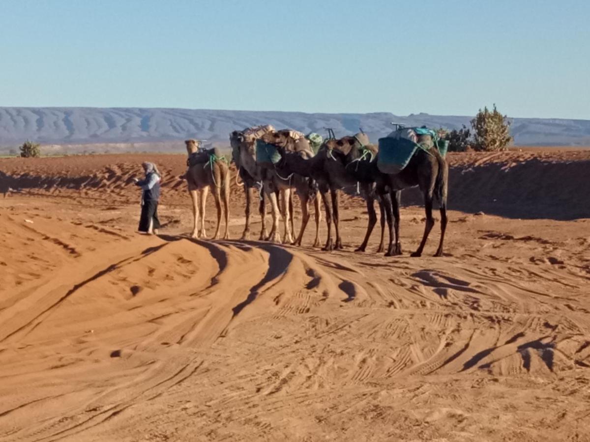 Готель Sahara Peace Camp Загора Екстер'єр фото