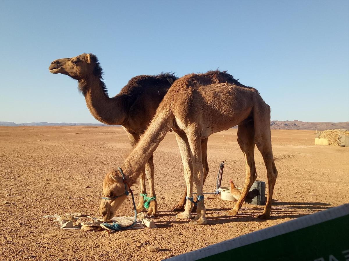 Готель Sahara Peace Camp Загора Екстер'єр фото