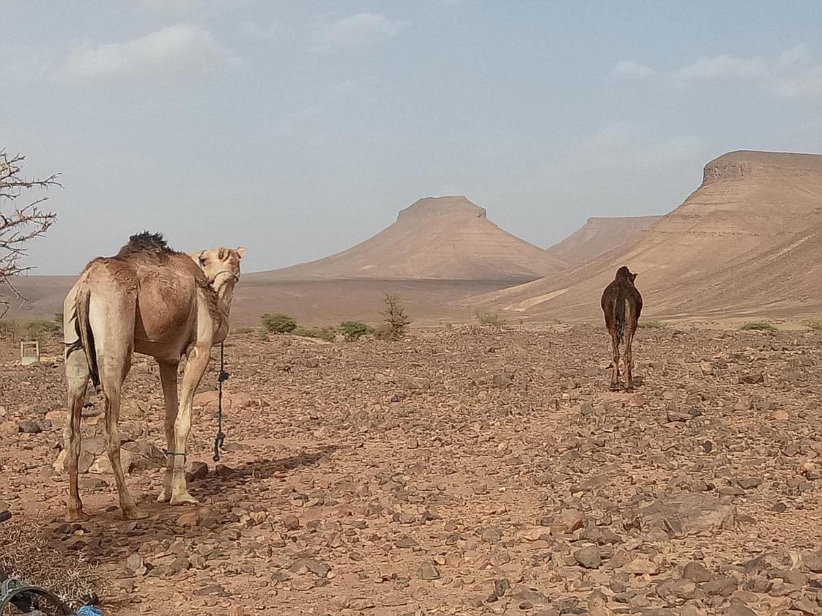Готель Sahara Peace Camp Загора Екстер'єр фото